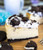 Oreo Cheesecake